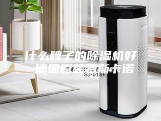 常见问题什么牌子的除湿机好 德国原装费斯卡诺