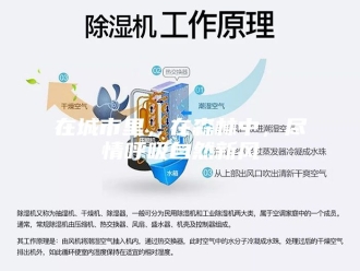 知识百科在城市里，在森林中，尽情呼吸自然新风