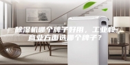 除湿机哪个牌子好用，工业和商业方面选哪个牌子？
