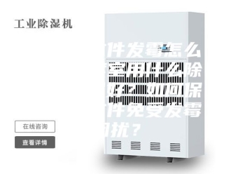 行业新闻档案室文件发霉怎么办？档案室用什么除湿机防潮好？如何保存档案文件免受发霉困扰？