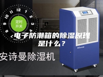 知识百科电子防潮箱的除湿原理是什么？