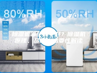 企业新闻除湿机哪个牌子好？除湿机原理，品牌，必要性解读