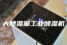 大除湿量工业除湿机