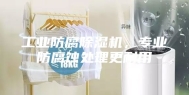 工业防腐除湿机，专业防腐蚀处理更耐用