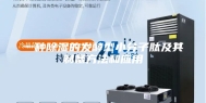 一种除湿的发酵型小分子肽及其制备方法和应用