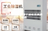 影响吸附式除湿干燥机效果的因素
