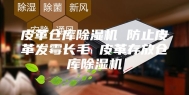 皮革仓库除湿机 防止皮革发霉长毛 皮革存放仓库除湿机