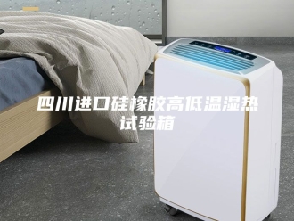 知识百科四川进口硅橡胶高低温湿热试验箱