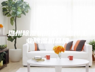 行业新闻温州除湿机价格，温州工业除湿机品牌
