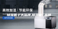 除湿机十大品牌,除湿机 品牌