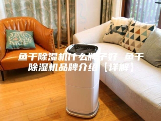企业新闻鱼干除湿机什么牌子好 鱼干除湿机品牌介绍【详解】