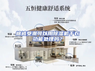 常见问题棉被受潮可以用除湿机干衣功能处理吗？