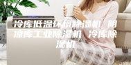 冷库低温环境除湿机 阴凉库工业除湿机 冷库除湿机