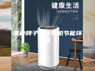 行业新闻哪种牌子的除湿机节能环保