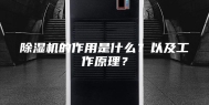 除湿机的作用是什么？以及工作原理？