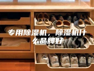 常见问题专用除湿机，除湿机什么品牌好