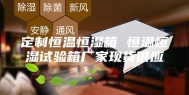 定制恒温恒湿箱 恒温恒湿试验箱厂家现货供应