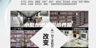 小型恒温恒湿培养箱