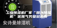 工业除湿机厂家“烟台除湿机”优雅气势皇冠品质