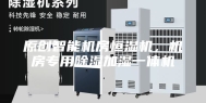 原创智能机房恒湿机，机房专用除湿加湿一体机