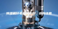 除湿机什么品牌最好，选购注意事项