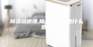 除湿器原理,除湿机原理是什么意思