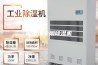 配电房专用除湿机