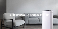 工业除湿机-工业抽湿机厂家