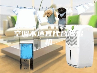 行业新闻空调不适宜代替除湿机