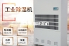 普洱恒温除湿机