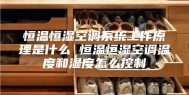 恒温恒湿空调系统工作原理是什么 恒温恒湿空调温度和湿度怎么控制