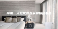 柳州：六批次鲜湿米粉抽检不合格