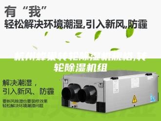 行业新闻杭州蜂巢转轮除湿机规格,转轮除湿机组