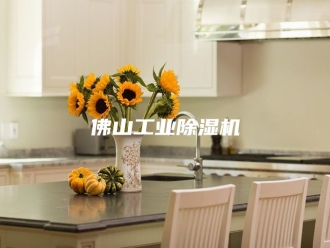 常见问题佛山工业除湿机
