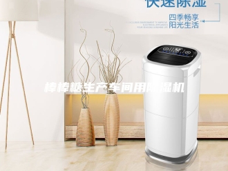 行业新闻棒棒糖生产车间用除湿机