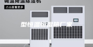 型恒温恒湿箱厂家