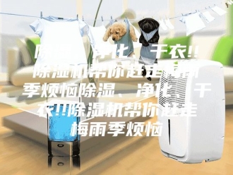 行业新闻除湿、净化、干衣!!除湿机帮你赶走梅雨季烦恼除湿、净化、干衣!!除湿机帮你赶走梅雨季烦恼