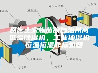 企业新闻恩施土家族苗族自治州高低温除湿机，工业抽湿机  恒温恒湿非标机器