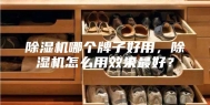 除湿机哪个牌子好用，除湿机怎么用效果最好？