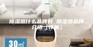 除湿器什么品牌好 除湿器品牌介绍【详解】