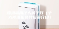 除湿器用什么牌子好（十大除湿机品牌排名介绍）