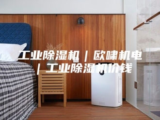 行业新闻工业除湿机｜欧啸机电｜工业除湿机价钱