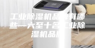 工业除湿机品牌有哪些—六至十名工业除湿机品牌