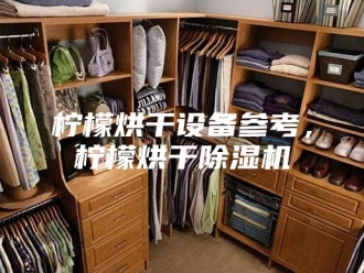 行业新闻柠檬烘干设备参考，柠檬烘干除湿机