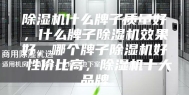 除湿机什么牌子质量好，什么牌子除湿机效果好，哪个牌子除湿机好 性价比高，除湿机十大品牌