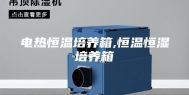 电热恒温培养箱,恒温恒湿培养箱