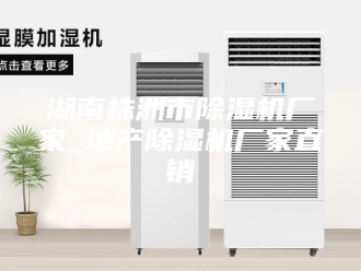 行业新闻湖南株洲市除湿机厂家_地产除湿机厂家直销