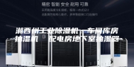 湘西州工业除湿机，车间库房抽湿机  配电房地下室抽湿器