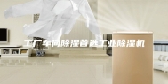 工厂车间除湿首选工业除湿机