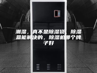 行业新闻潮湿，真不是除湿袋、除湿盒能解决的，除湿机哪个牌子好